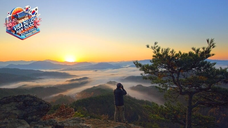 Cách chứng minh tài chính xin visa Hàn Quốc