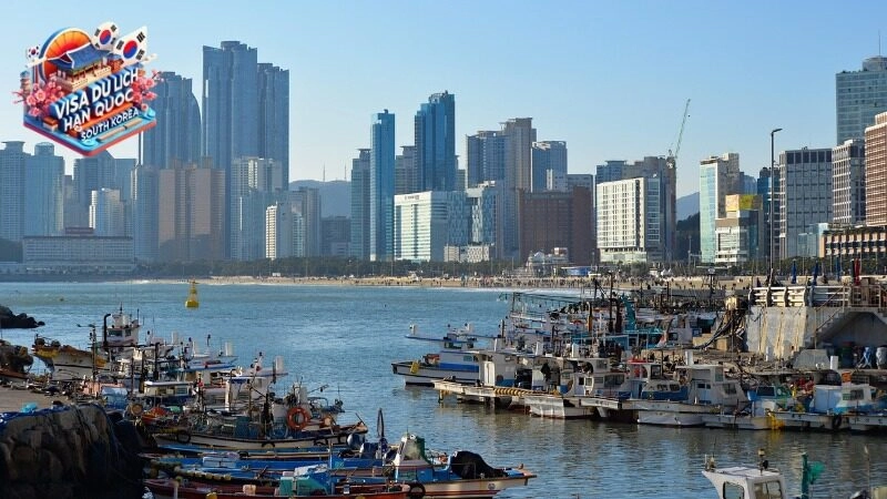 Dịch vụ làm visa đi Hàn Quốc cho khách hàng nhanh chóng