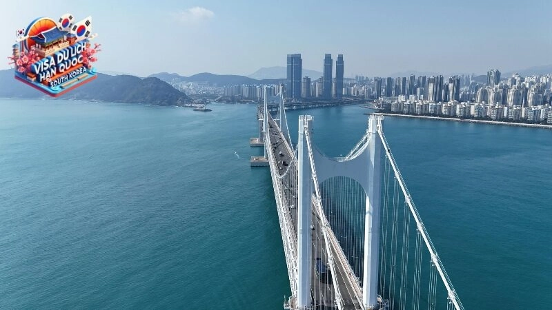 Lệ phí xin visa du lịch Hàn Quốc và cách tính